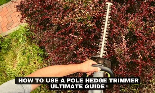 HOW TO USE A POLE HEDGE TRIMMER ULTIMATE GUIDE