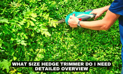 WHAT SIZE HEDGE TRIMMER DO I NEED DETAILED OVERVIEW