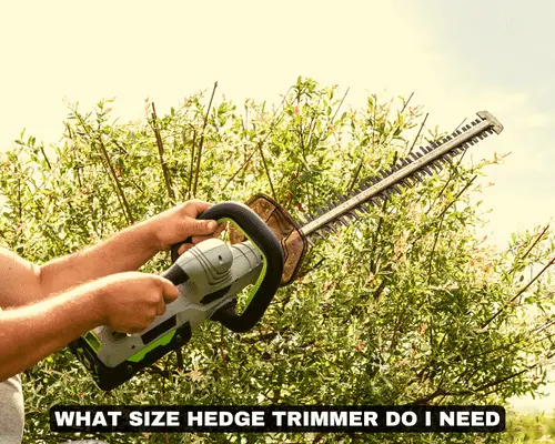 WHAT SIZE HEDGE TRIMMER DO I NEED
