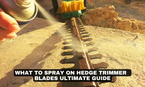 WHAT TO SPRAY ON HEDGE TRIMMER BLADES ULTIMATE GUIDE
