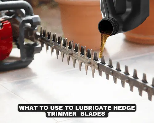WHAT TO USE TO LUBRICATE HEDGE TRIMMER BLADES