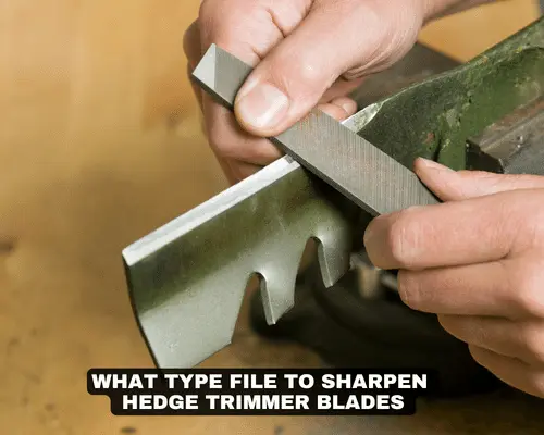 WHAT TYPE FILE TO SHARPEN HEDGE TRIMMER BLADES