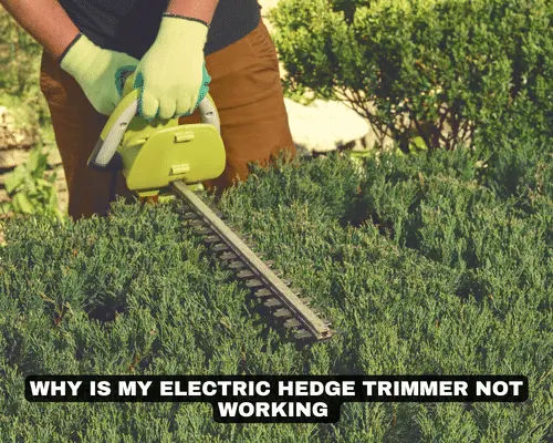 WHY IS MY ELECTRIC HEDGE TRIMMER NOT WORKING