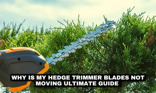 WHY IS MY HEDGE TRIMMER BLADES NOT MOVING ULTIMATE GUIDE