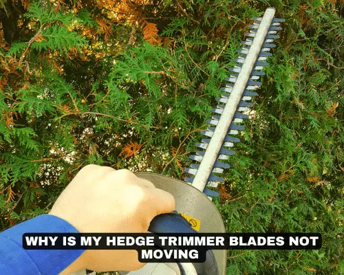 WHY IS MY HEDGE TRIMMER BLADES NOT MOVING